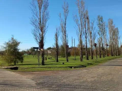Terreno en Venta 13  mts Frente