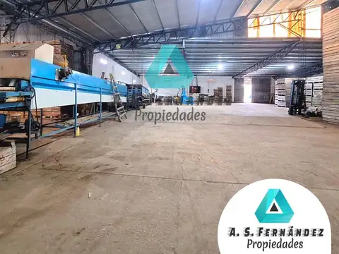 QUINTA CÍTRICA CON GALPONES, EMPAQUES Y CASA PRINCIPAL