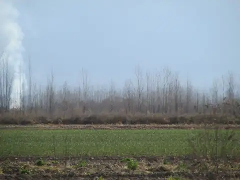 Campo en venta Valle de Uco San Carlos Mendoza