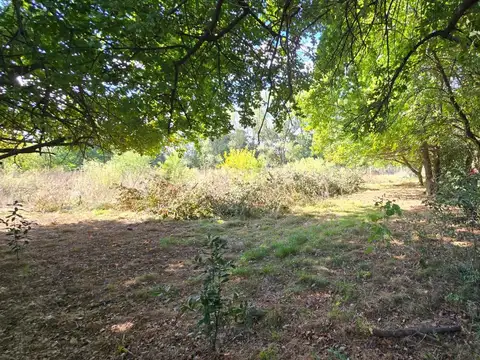 Terreno en Venta 37  mts Frente