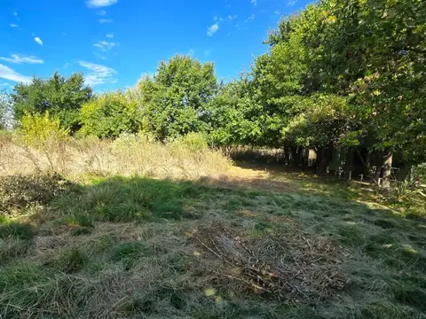 Terreno en Venta de 3255,0 m2
