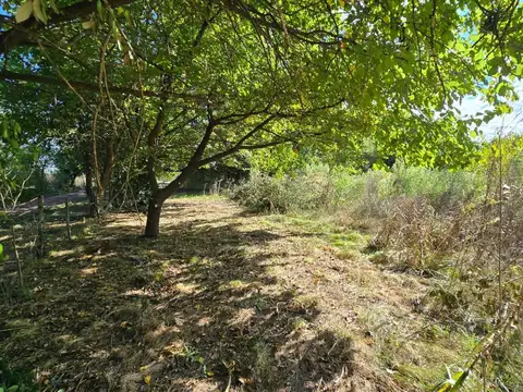 Cnel. Manuel Rico
