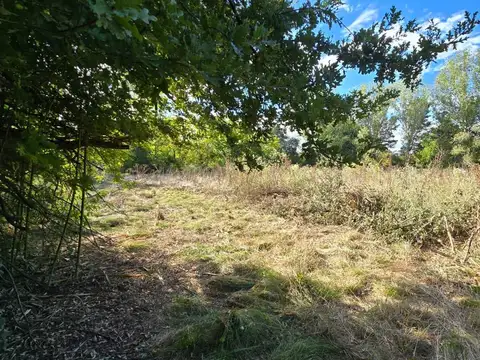 Terreno en Venta 86  mts Fondo