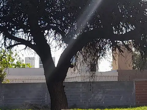 Terreno en Venta, FOT 1