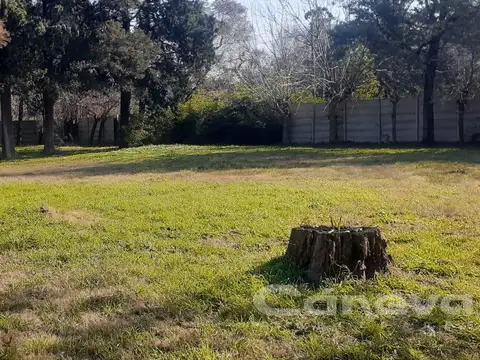 Excelentes 4 lotes en Asamblea y San Blas 