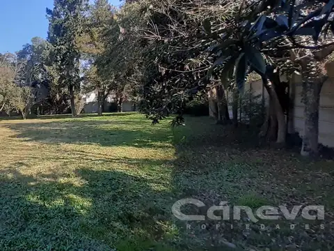 Asamblea  y San Blas