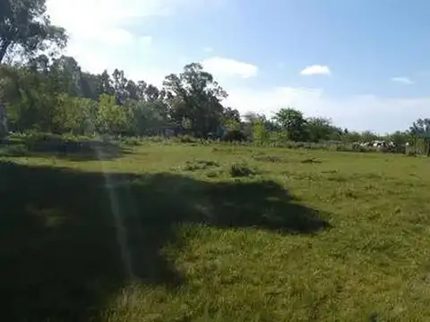 Terreno en Venta en Abasto, USD 55.000