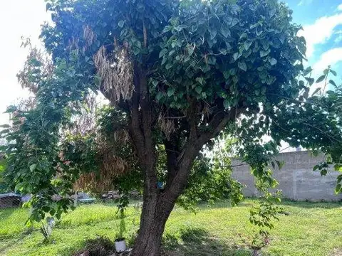 Casa en Venta 37 años