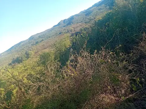 4 HECTAREAS EN VENTA, FALDA DEL CARMEN