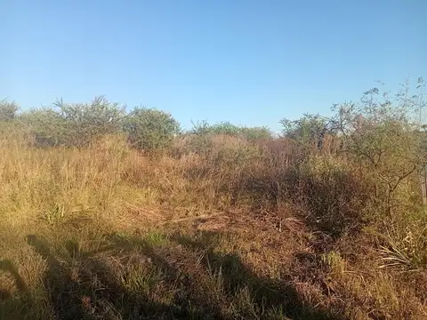 4 HECTAREAS EN VENTA, FALDA DEL CARMEN