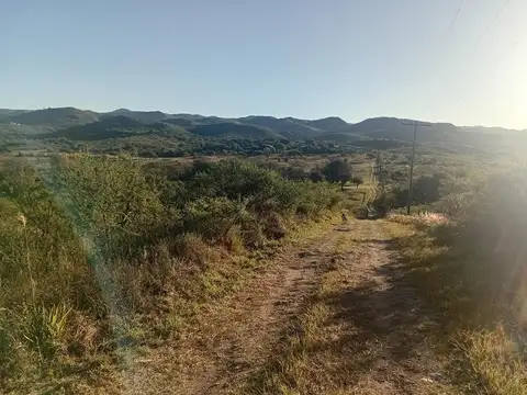 Terreno en Venta de 41891,0 m2