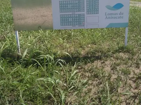 Terreno en Venta de 300,0 m2