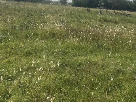 TERRENOS EN VENTA, AGOTE-GOWLAND