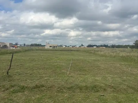 Calle Diagonal Norte