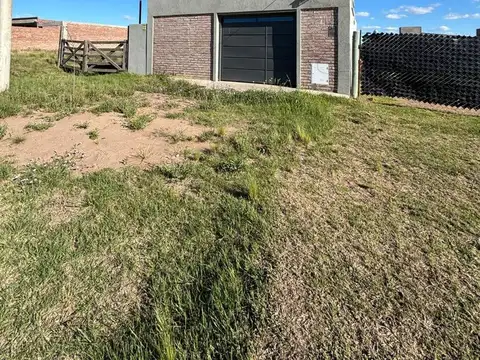 San Francisco de Asis 600