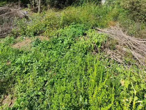 Terreno en Venta de 676,0 m2