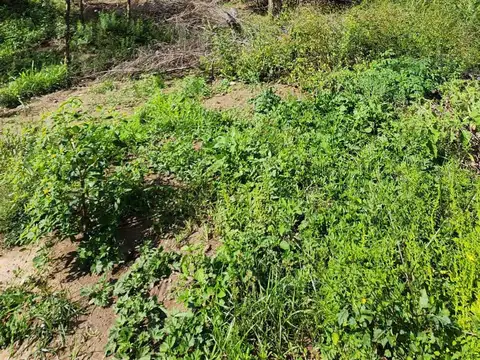 Lote a la venta en Comuna de San Roque. (L423)