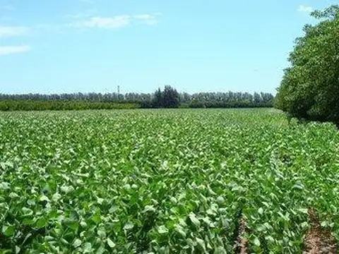 PROPIEDADES RURALES - AGRICOLA - SAN PEDRO