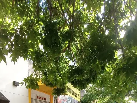 Local en Venta Via Pública