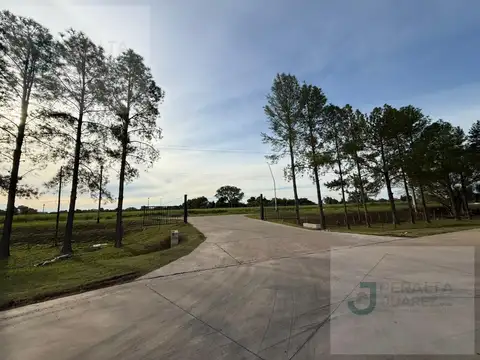 Autovia Nicolas Avellaneda km16,9 aprox.