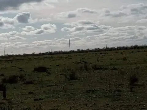Campo en Venta en Maipu, Partido de Maipú
