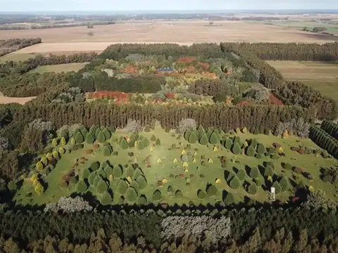 Campo sobre la circunvalación 515 