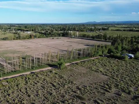 Terreno en Venta 40  mts Fondo