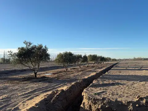 Terreno en Venta de 480,0 m2