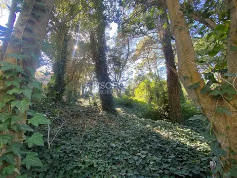 CALLE 304 ENTRE ALAMEDA 206 Y 207