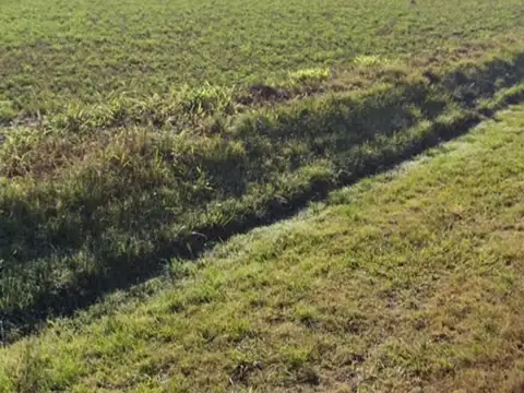 Campo en Venta Agrícola