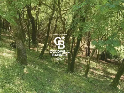 Barrio Privado Buena Vista Lote 19D