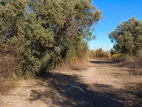 Terreno en Venta en Costa de Araujo, Lavalle