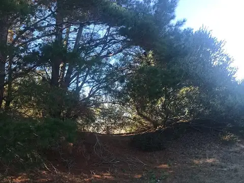 Terreno en Venta de 901,0 m2