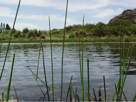 Campo con costa en venta en Chipauquil, Valcheta