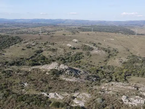 ruta 39