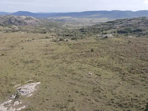 ruta 39