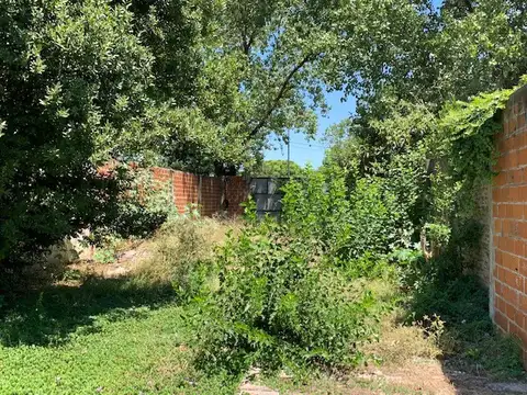 Camino J. D. Peron 1800