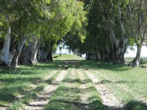 Terreno en Venta de 1500,0 m2