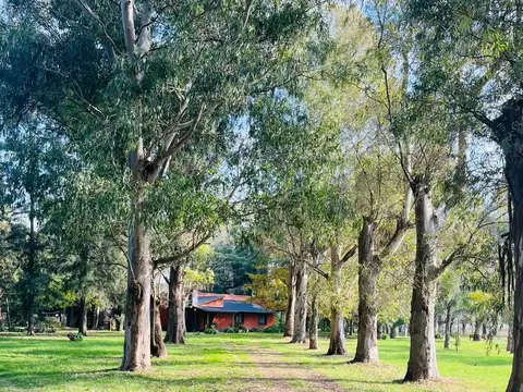Chacra en Brandsen con casa sobre 2 hectáreas