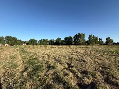 Buenos Vecinos 2700, Piso 0