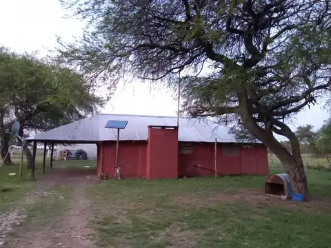 Campo 301 hectáreas Mixto Sauce Corrientes