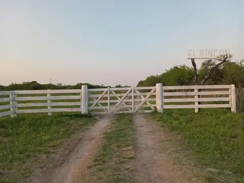 Campo 301 hectáreas Mixto Sauce Corrientes