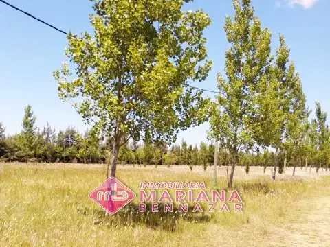 TERRENOS PARA TU CASA QUINTA EN BARADERO