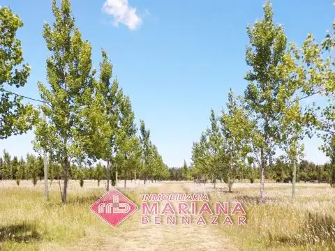Terreno en Venta de 2244,0 m2