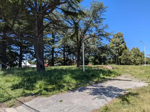 Terreno en Venta de 12900,0 m2