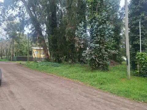 Los Charruas y Tupac Amaru 100