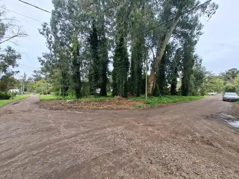 Los Charruas y Tupac Amaru 100