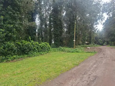 Terreno en Venta de 420,0 m2