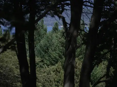 Terreno en Venta de 75000,0 m2