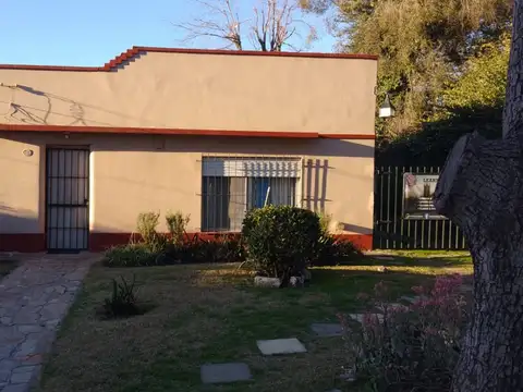 Maestro Angel D'elia 400